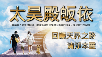 在太昊殿，無論是人類還是動物，都能通過皈依來尋回本靈的清淨，開啟修行的契機。